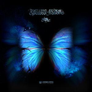 欧美18Vⅰdeos初次摘花
