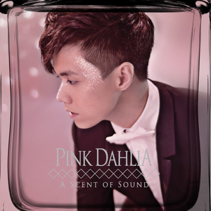 欧美18Vⅰdeos初次摘花
