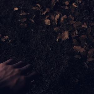 欧美18Vⅰdeos初次摘花
