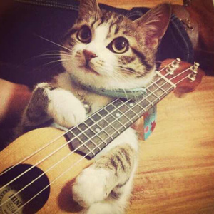 欧美18Vⅰdeos初次摘花
